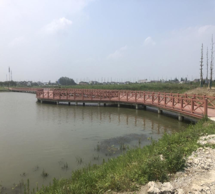 江蘇金壇直溪生態(tài)濕地公園項目